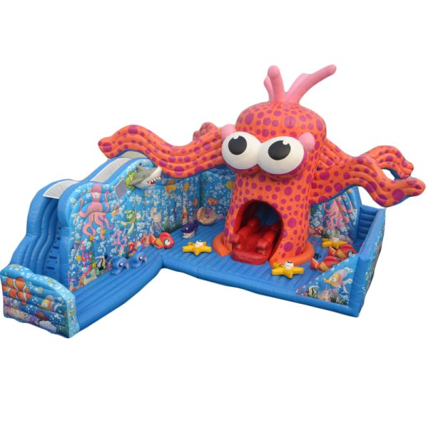 IINFLATABLE PLAYGROUD 5 5